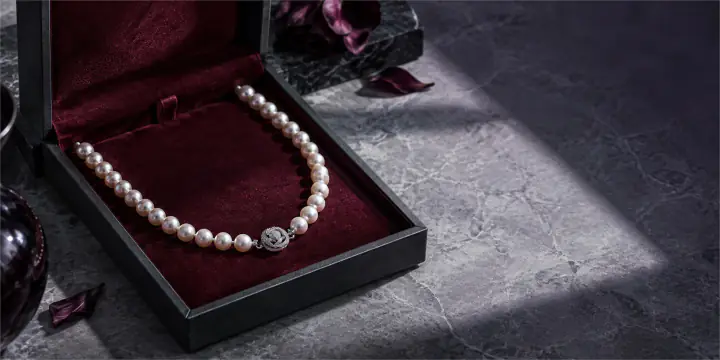 RAVYNL editorial jewelry preview
